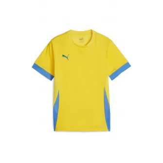 Puma Teamgoal