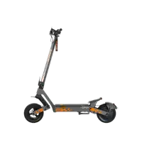 Trotinete Electrice