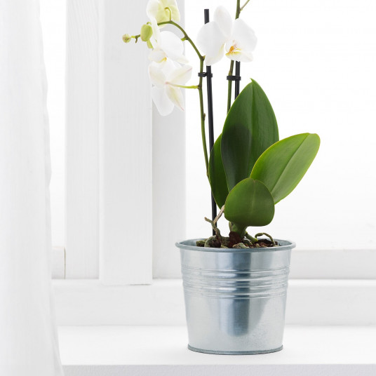 Ikea Socker Ghiveci Mtl Glvz Interior Exterior Galvanizat 10 5 Cm