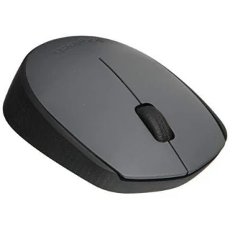 Logitech Wireless Mouse M170 Grey, Оптическая мышь для ноутбуков, Наноприемник, Серый, Розничная торговля