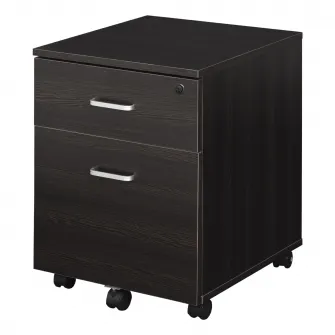 Dulapior de birou Vinsetto, 2 sertare, Incuietoare, 2 chei, 40x45x55.6cm, Pal, Negru