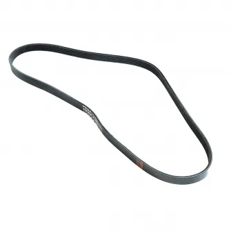 Decathlon Curea Biking500, Marime unica