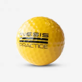 Decathlon Minge antrenament x300 Inesis, Marime unica