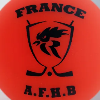 Decathlon Minge Oficiala Hochei Ball, Marime unica