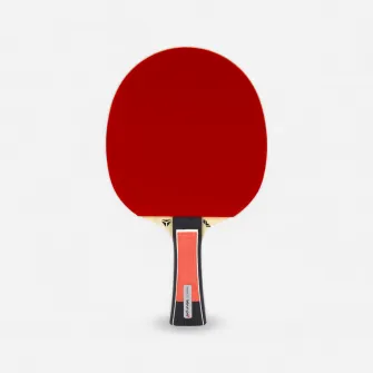Decathlon Paleta Tenis de Masa Club Lebrun Pro X 5* ITTF, CONCAV