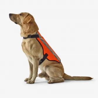 Decathlon Vesta fluorescenta caine 100 Portocaliu, L