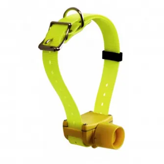 Decathlon Zgarda pentru reperarea cainelui Canibeep Num'axes, Marime unica