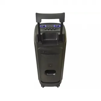 Eden Party Speaker ED-1015 with 2 Wireless Microphones 100W, 10'', Black