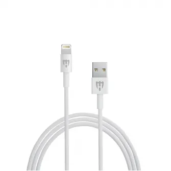 Helmet Car Charger with Lightning Cable 2xUSB 2.4A , Silver