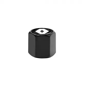 Tyre Valve Caps R