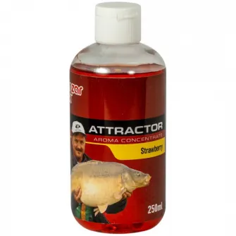 Aditiv Lichid Benzar Mix Capsuni 250ML