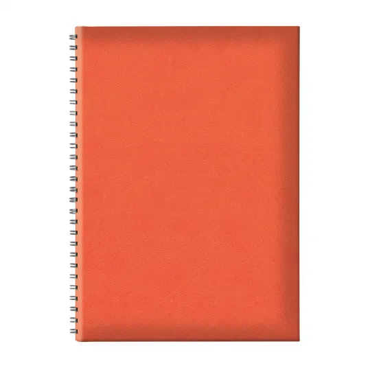 Agenda nedatata B5 TUCSON spira ascunsa portocaliu