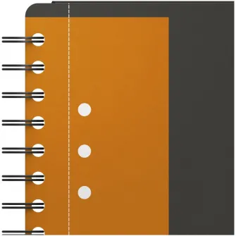 Agenda Organizator Oxford International Meeting Book, A5+ 80F, Hartie Optik 90G/Mp, Spira Dubla, Scribzee, Coperta Pp, Pefc, Margini Duble Si Antet, Microperforatii Si 10 Perforatii, 3 Clape Coperta Spate, Inchidere Cu Elastic, Patratele, Culoare Gri