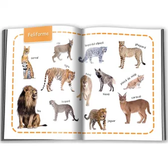 Animale. Invat 100 de cuvinte