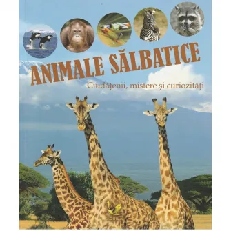 Animale salbatice-curiozitati