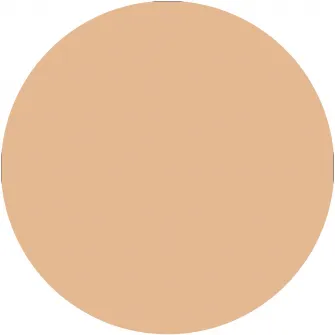 Anticearcan Catrice Liquid Camouflage High Coverage Concealer 005, 5 ml