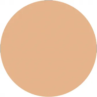 Anticearcan Catrice Liquid Camouflage High Coverage Concealer 020, 5 ml