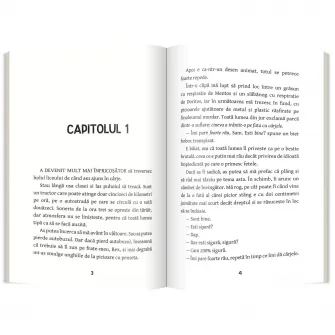 Arta de a simti, Laura Tims