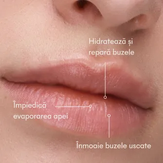 Balsam de buze hidratant Multi-performance, Ivatherm, cu unt de shea si ulei de macadamia, efect nutritiv si reparator, 15 ml
