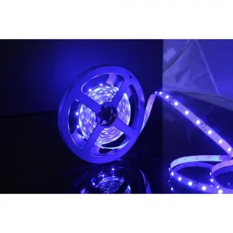 Banda LED Flink, 5 m, Albastru