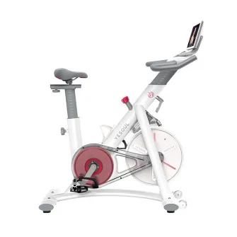 Bicicleta spinning smart Yesoul S3 Pro, rezistenta magnetica, volanta 6 kg, bluetooth, greutate maxima utilizator 120 kg, alb