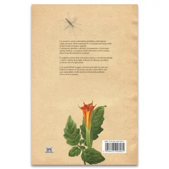 Botanica ilustrata, Maria Carmen Soria