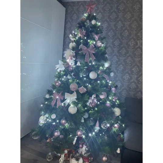 Foto 10