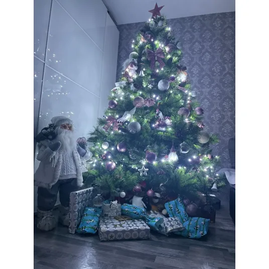 Foto 11