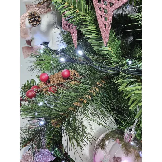 Foto 14