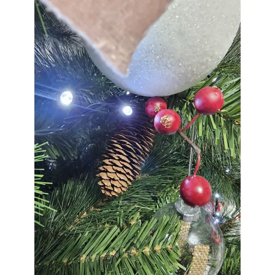 Foto 15
