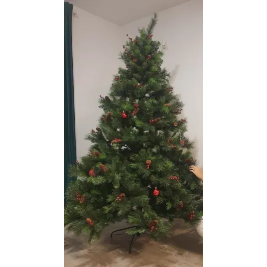 Foto 17