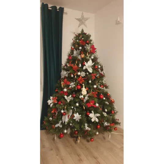 Foto 18
