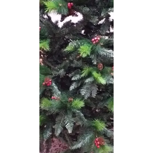 Foto 19