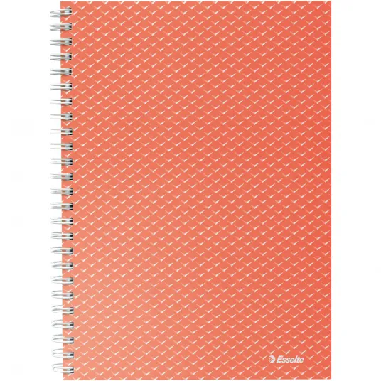 Блокнот офисный Esselte Colour'Breeze, картон, А5, 80 листов, со спиралью, математика, корай