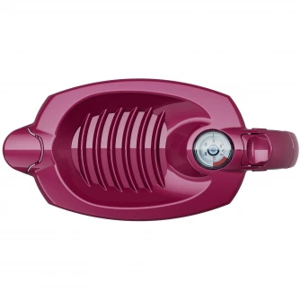 Cana filtranta cu filtru Aquaphor A5, model Prestige visiniu