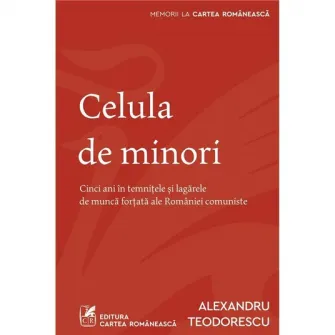 Celula de minori, Alexandru Teodorescu