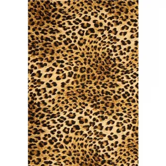 Covor Oyo Concept cu print digital baza tesuta Rektri 80x200 cm