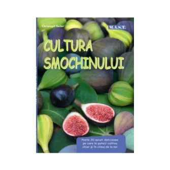 Cultura smochinului, Christoph Seiler