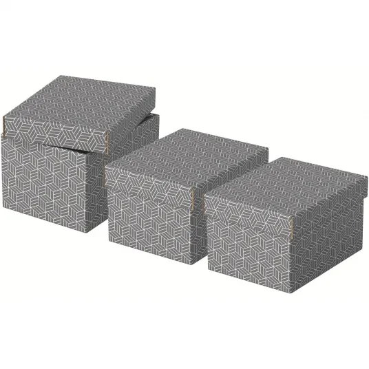 Cutie depozitare Esselte Home Recycled, carton, 100% reciclat, certificare FSC, reciclabil, 25x20x15 cm, cu capac, 3 buc/set, gri