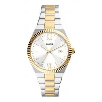 Fossil, Ceas quartz cu design bicolor, Argintiu, Auriu