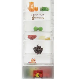 Frigider cu o usa Arctic AR60290M40W, 286 l, Garden Fresh, Mix Zone, XXL Bolttle, Clasa E, H 150.8 cm, Alb