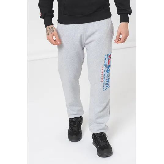 Geographical Norway, Pantaloni regular fit de trening cu logo Moffroy, Gri deschis melange, L