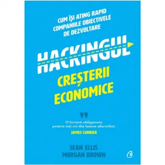 Hackingul cresterii economice. Cum isi ating rapid companiile obiectivele de dezvoltare, Sean Ellis, Morgan Brown