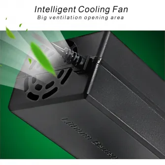 Incarcator multifunctional, Seilylanka, Compatibil cu Lithium-Ion, 54.6V, 5A, 273W, Negru