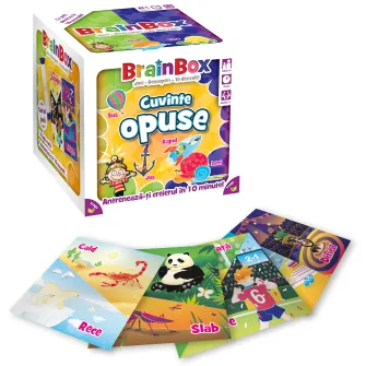 Joc educativ BrainBox, Cuvinte opuse