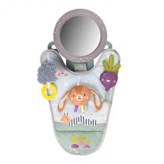 Jucarie Auto Pentru Bebelusi, Taf Toys, Cu Oglinda Retrovizoare, Urban Garden, 0L+