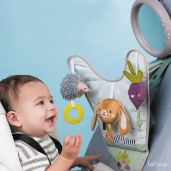 Jucarie Auto Pentru Bebelusi, Taf Toys, Cu Oglinda Retrovizoare, Urban Garden, 0L+