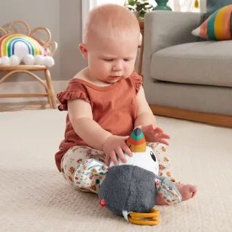 Jucarie de plus Fisher Price - Tucan, cu agatatoare