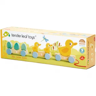 Jucarie de tras din lemn Tender Leaf Toys - Trenuletul cu ratuste, 9 piese