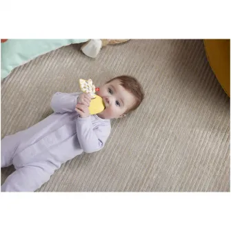 Jucarie dentitie Fisher Price - Iepuras